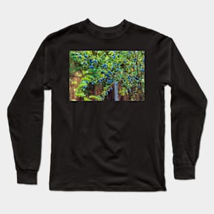 Plum tree in an orchard Long Sleeve T-Shirt